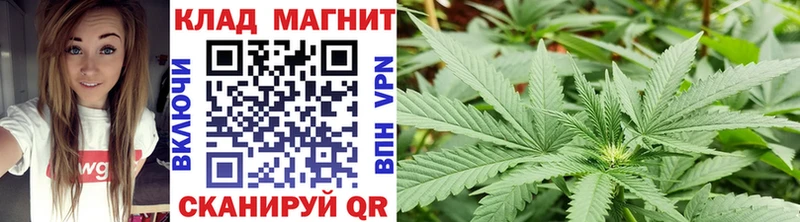 Купить наркотики цена Берёзовка Каннабис Альфа ПВП Псилоцибиновые грибы ГАШ
